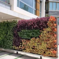 باغبانی. طراحی فضای سبز باغبون دیوار سبز طبیعی