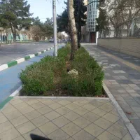 154-متر-زمین-دارای-3-سقف-پروانه-کوچه-16-متری