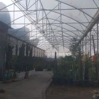 نصب پلاستیک گلخانه.وتعمیرات