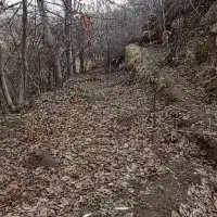 باغ ۱۰۰۰ متری شهرستان چناران روستای بقمچ