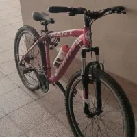 دوچرخه