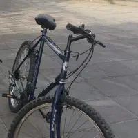 دوچرخه 26 مارک viva|دوچرخه، اسکیت، اسکوتر|ری, ظهیرآباد|دیوار