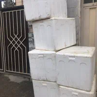 آکاستیو(یخدان) بزرگ