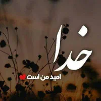 ۰۹۱۷۳۸۸۲۶۶۰