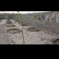 باغچه نسیم شهر