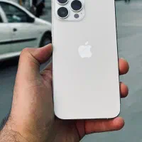 سیزده پرومکس درجه یک پلمپ بسیار تمیر(بدونه نقطه)