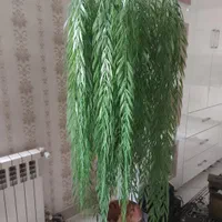 درختچه مصنوعی بید مجنون|گل مصنوعی|تهران, فلاح|دیوار