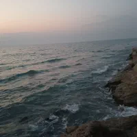 باغ ویلا نزدیک به ساحل دریا در. بندرزیبای گناوه|اجارهٔ کوتاهمدت ویلا و باغ|بندر گناوه, |دیوار