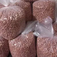 بادام آستانه اشرفیه عمده