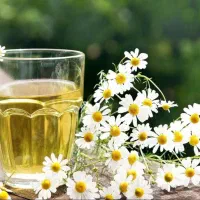 کار ودرمان با گیاهان دارویی صدرصد خالص و طبیعی|استخدام بازاریابی و فروش|تایباد, |دیوار