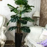 درختچه مصنوعی وارداتی|گل مصنوعی|اهواز, کوی باهنر|دیوار