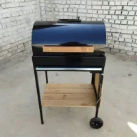 باربیکیو زغالی و گازی