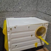 لانه پرنده عروس هلندی