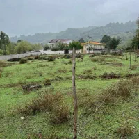 زیباترین زمین ویلائی با ویو ابدی کوه و حنگل