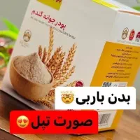 پودر جوانه گندم بین استار