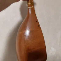 تنبور حرفه‌ای