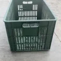 سبد بار میوه