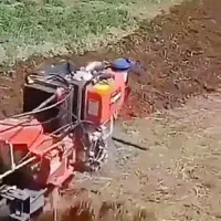 علف زنی و تیلر زنی