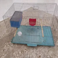 قفس پرنده
