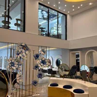 جذب دستیار شنیون،رنگ و کراتین