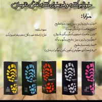 ضدعفونی کننده و خوشبو کننده کفش نانوسان
