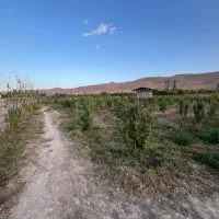 فروش باغچه در فیروزکوه به متراژ ۶۰۰ متر