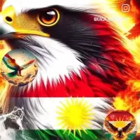 گوشی