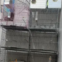 بندر ماهشهر شهرک طالقانی