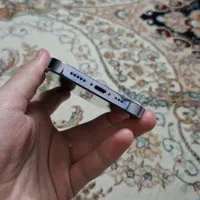 ایفون 13 پرو|موبایل|تربت‌حیدریه, قائم|دیوار