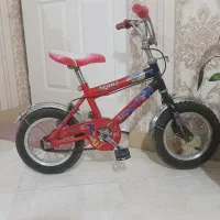 دوچرخه ۱۲ کارکرده