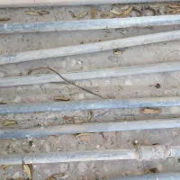 لوله ساختمان