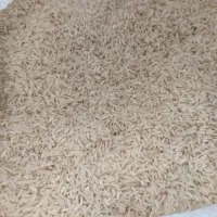 برنج طارم هاشمی