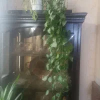 ویترین|بوفه، ویترین، کنسول|تهران, فدک|دیوار