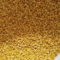 حبوبات عدس نخود لوبیا عمده خرده