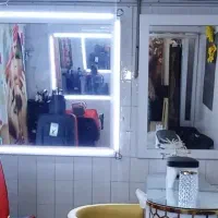 دو عدد آینه