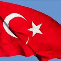 استخدام نیرو در ترکیه