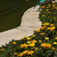نگهبان باغ
