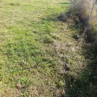 فروش-فوری-240متر-زمین-در-جاده-سلیمان-آباد