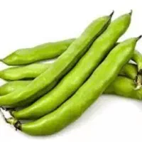 بذر باقله خارجی