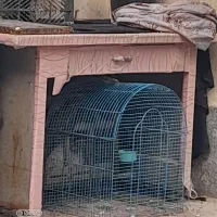 میز کار فلزی