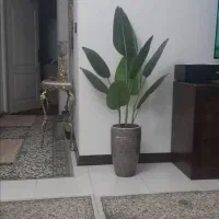 درختچه مصنوعی