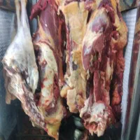 یک نفر حسابدار مسلط به کامپیوتر و سیستم حسابداری