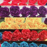 سفارش گل ربانی|گل مصنوعی|شیراز, دارالرحمه|دیوار