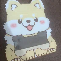 دخترانه|ظروف نگهدارنده، پلاستیکی، یک‌بارمصرف|سقز, |دیوار