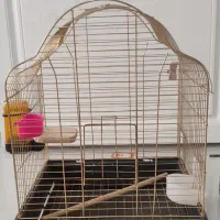 دو عدد قفس|لوازم جانبی حیوانات|مشهد, فارغ التحصیلان|دیوار