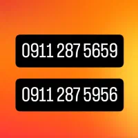 ۲ عدد سیمکارت رُند دائمی ۹۱۱