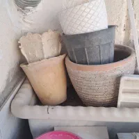 تعدادی گلدان