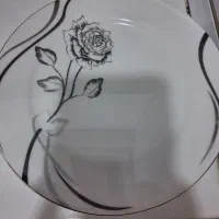 سرویس ۱۲ نفره