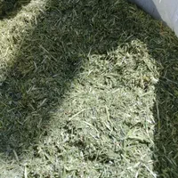 یونجه دیم|لوازم جانبی حیوانات|اسکو, |دیوار