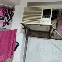 کولر گازی الجی